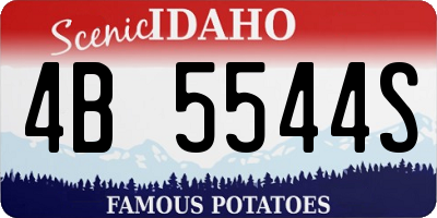 ID license plate 4B5544S