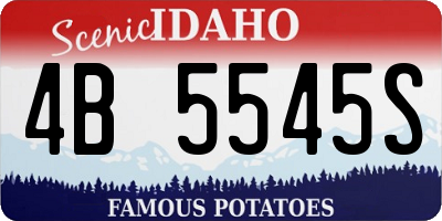 ID license plate 4B5545S