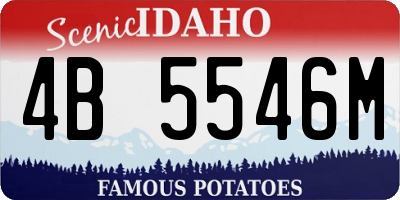 ID license plate 4B5546M