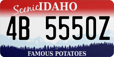 ID license plate 4B5550Z