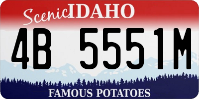 ID license plate 4B5551M