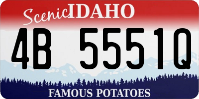 ID license plate 4B5551Q