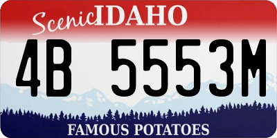 ID license plate 4B5553M