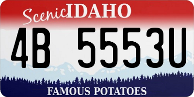 ID license plate 4B5553U