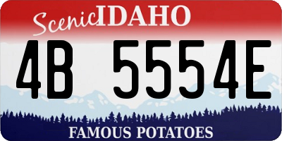 ID license plate 4B5554E
