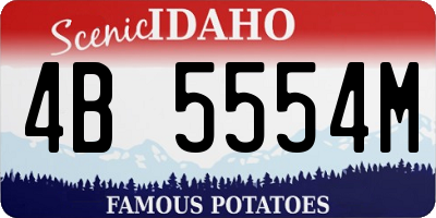 ID license plate 4B5554M