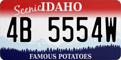 ID license plate 4B5554W