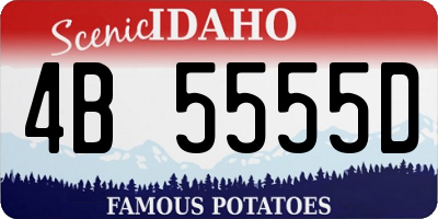 ID license plate 4B5555D