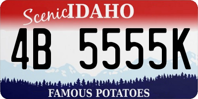 ID license plate 4B5555K