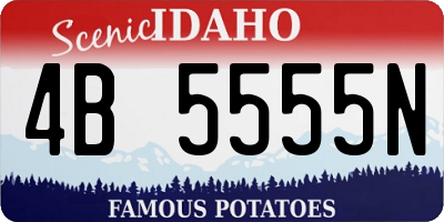 ID license plate 4B5555N