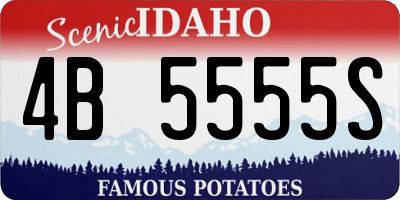 ID license plate 4B5555S
