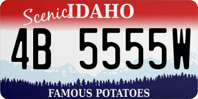 ID license plate 4B5555W