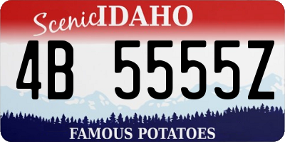 ID license plate 4B5555Z