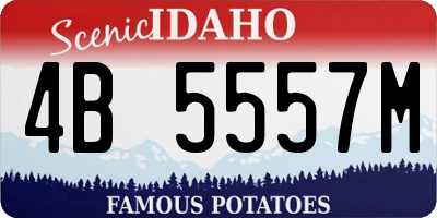 ID license plate 4B5557M