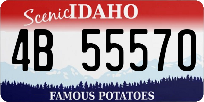 ID license plate 4B5557O