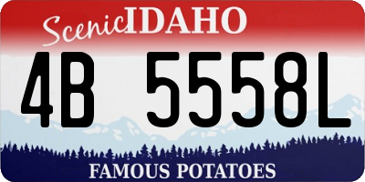 ID license plate 4B5558L
