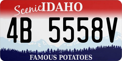 ID license plate 4B5558V