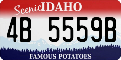 ID license plate 4B5559B