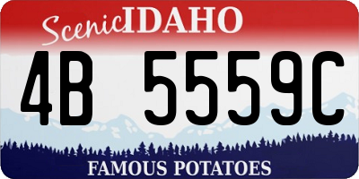 ID license plate 4B5559C