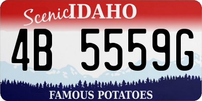 ID license plate 4B5559G