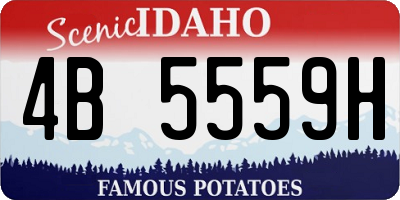 ID license plate 4B5559H