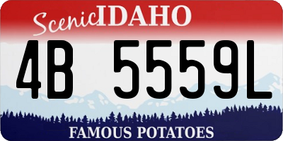 ID license plate 4B5559L