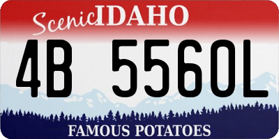 ID license plate 4B5560L