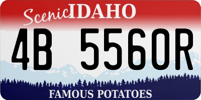 ID license plate 4B5560R