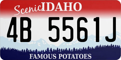 ID license plate 4B5561J