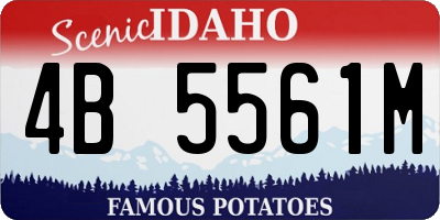 ID license plate 4B5561M