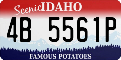 ID license plate 4B5561P