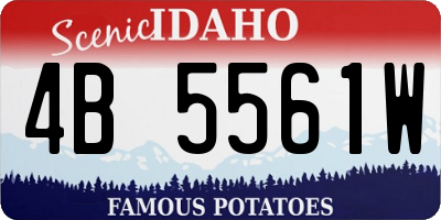 ID license plate 4B5561W