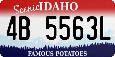 ID license plate 4B5563L