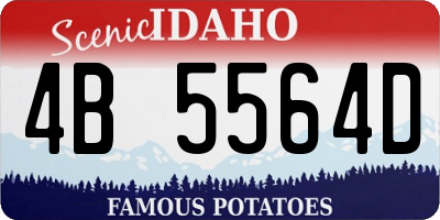 ID license plate 4B5564D