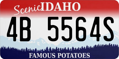 ID license plate 4B5564S