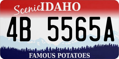 ID license plate 4B5565A