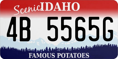 ID license plate 4B5565G