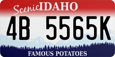 ID license plate 4B5565K