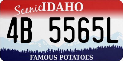 ID license plate 4B5565L