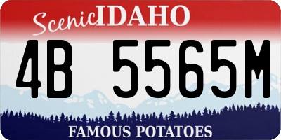 ID license plate 4B5565M