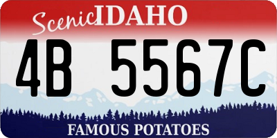 ID license plate 4B5567C