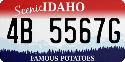 ID license plate 4B5567G