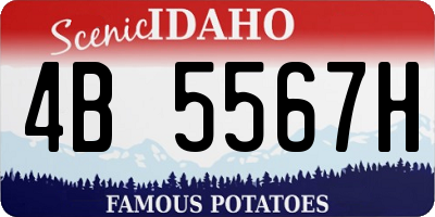 ID license plate 4B5567H