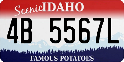 ID license plate 4B5567L