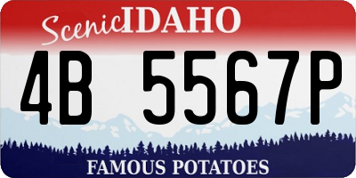 ID license plate 4B5567P