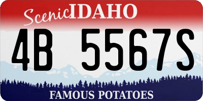 ID license plate 4B5567S