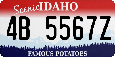ID license plate 4B5567Z
