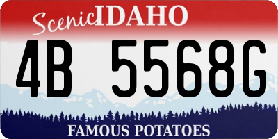 ID license plate 4B5568G