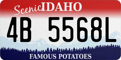 ID license plate 4B5568L
