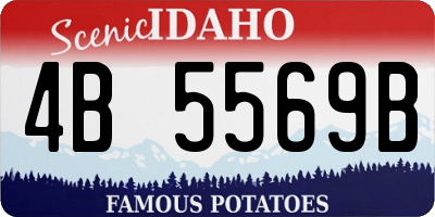 ID license plate 4B5569B